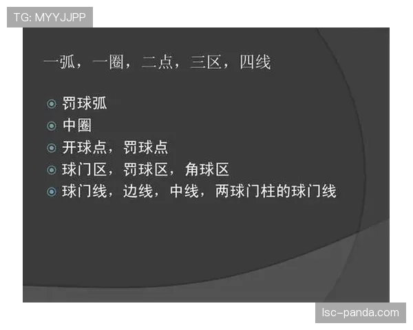 足球判罚标准详解：裁判如何依据规则判定犯规与违规行为