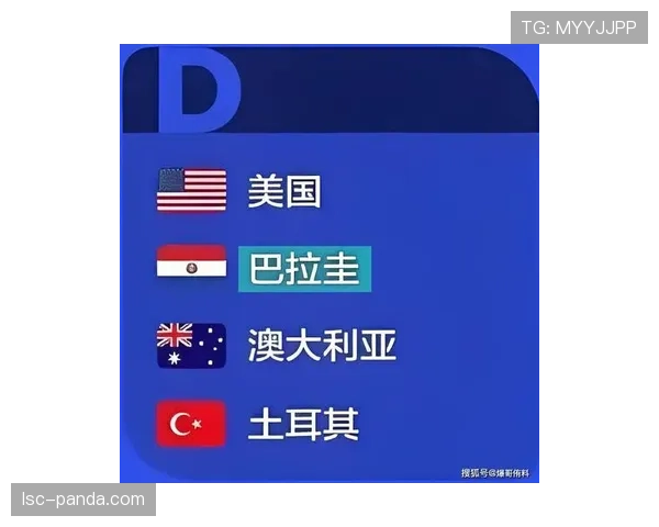 世界杯巴拉圭队D组最佳新星预测 世界杯巴拉圭队D组最佳新星预测