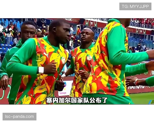 塞内加尔世界杯热门话题汇总 塞内加尔世界杯热门话题汇总